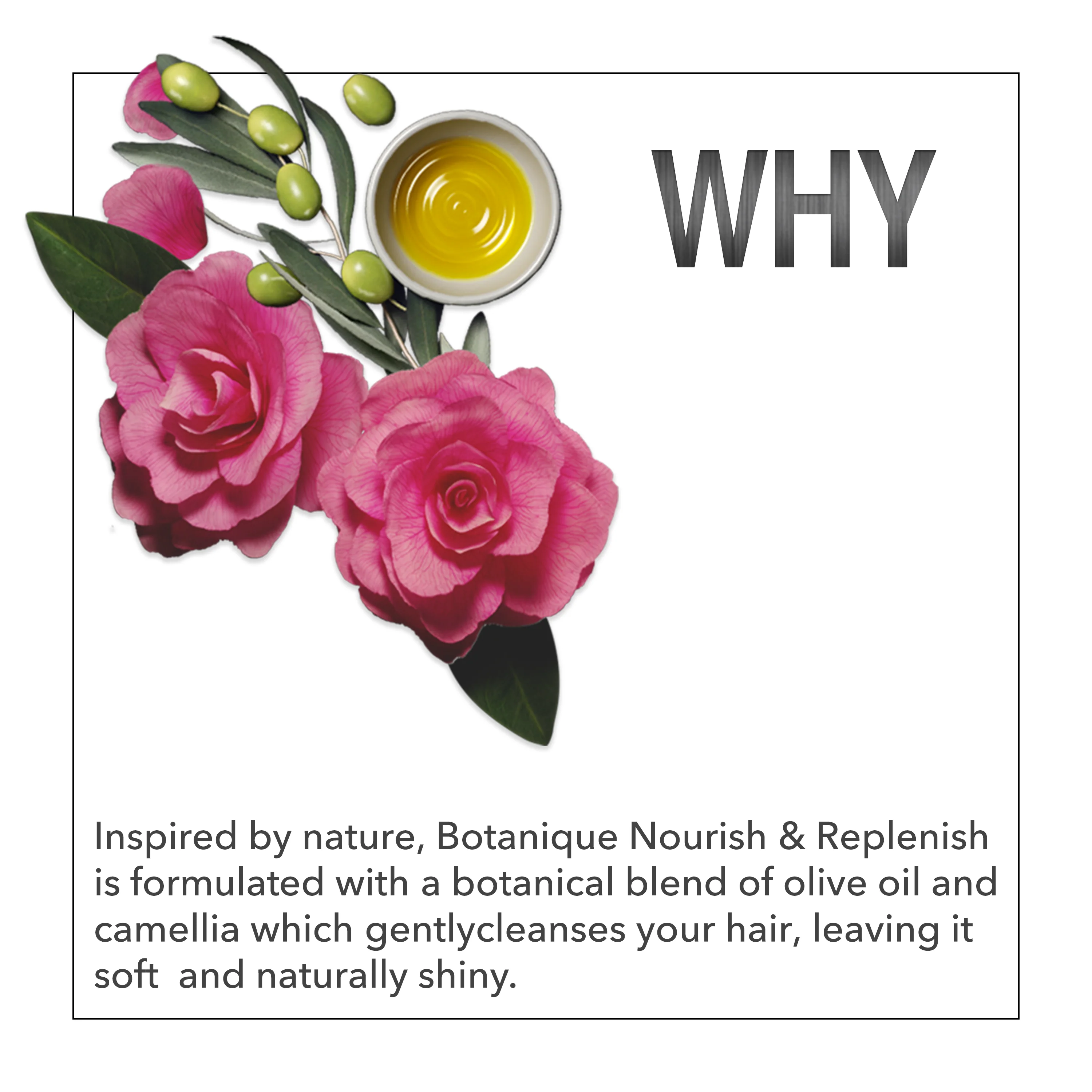 Tresemme Shampoo Botanique Nourish and Replenish 580ml - Image 10