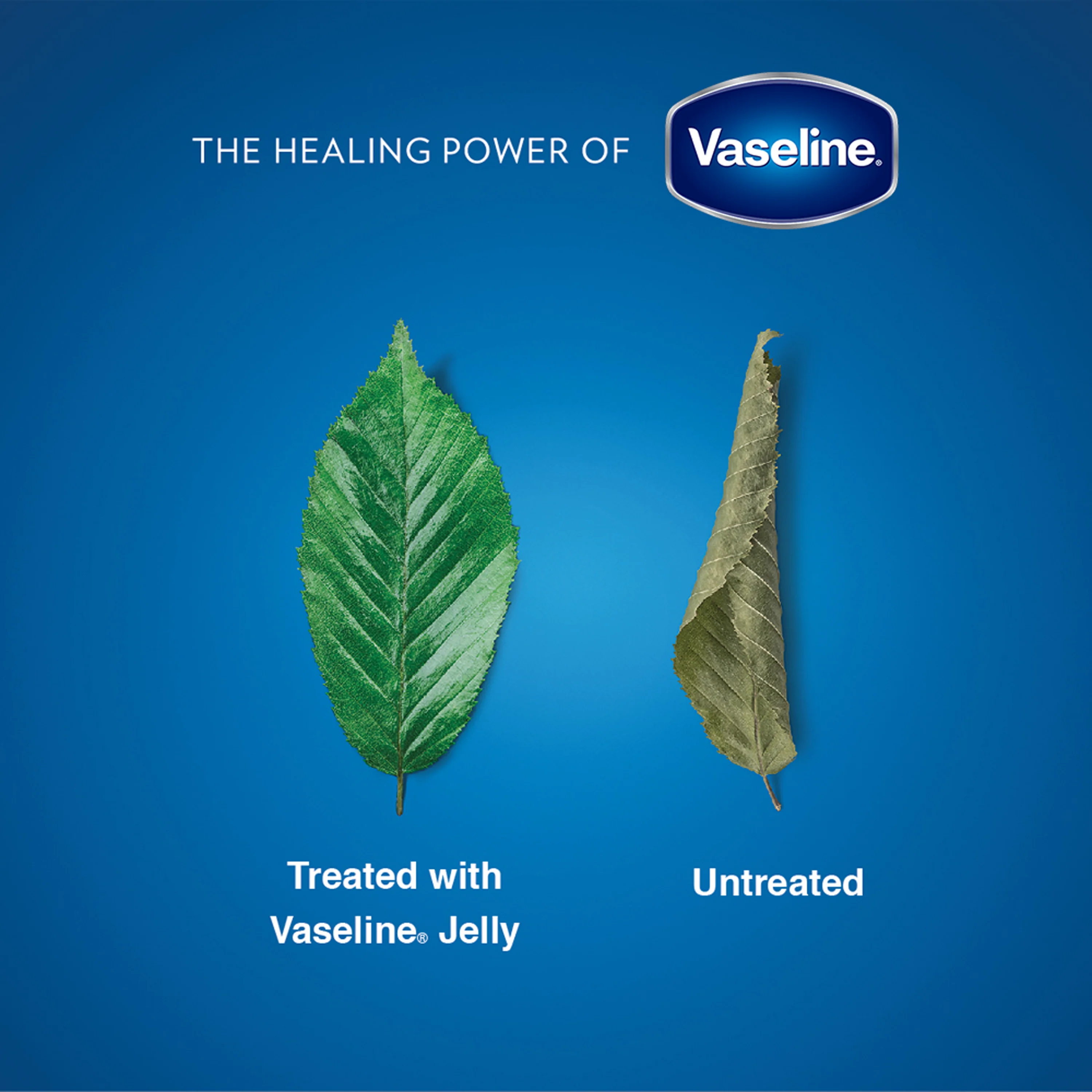 Vaseline Petroleum Jelly 9ml - Image 8